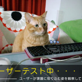 ユーザーテスト
